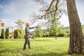 Best Hazardous Tree Removal  in Mooreland, OK