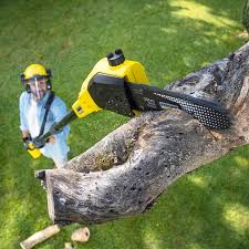 Best Commercial Tree Services  in Mooreland, OK