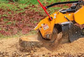 Best Grass Overseeding  in Mooreland, OK