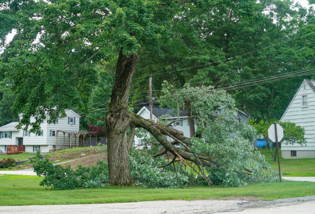 Best Storm Damage Tree Cleanup  in Mooreland, OK