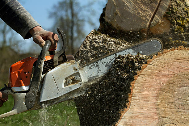 Best Aeration Services  in Mooreland, OK